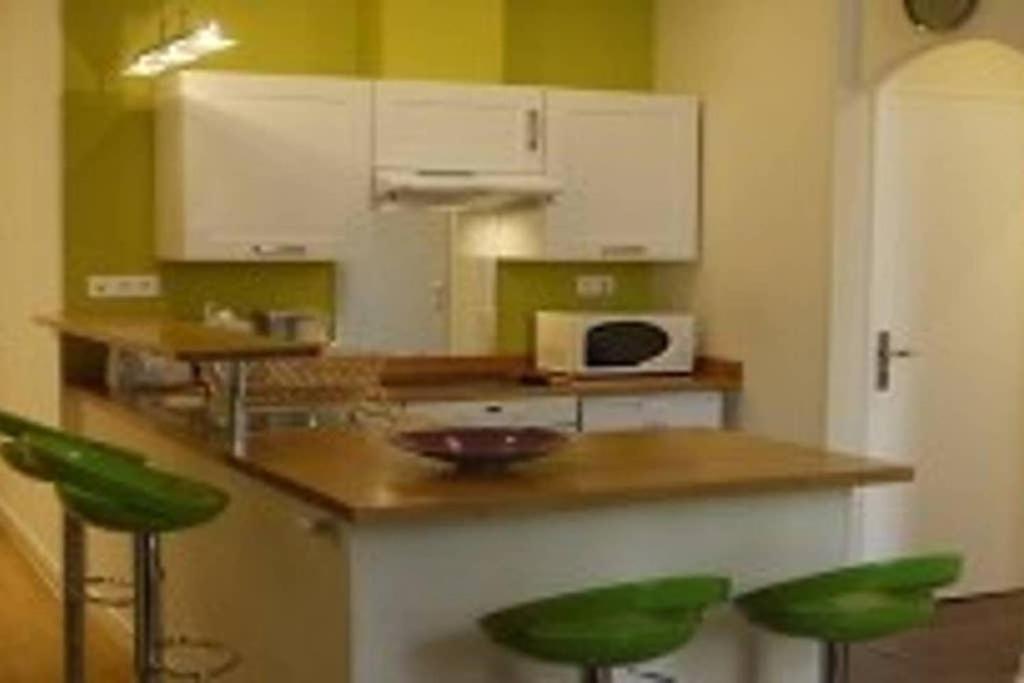 Barla 3 - A Spacious One Bedroom Apartment Near Place Garibaldi นีซ ภายนอก รูปภาพ